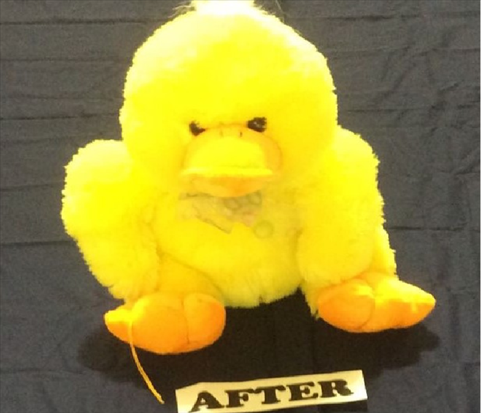 Stuffed duck clean of all soot