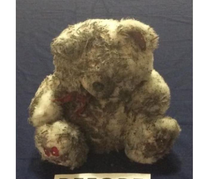 Stuffed bear covered in soot from fire damage